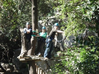  Momentos de alegría en los árboles.JPG 